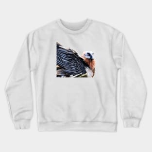 Bearded Vulture / Swiss Artwork Photography Crewneck Sweatshirt